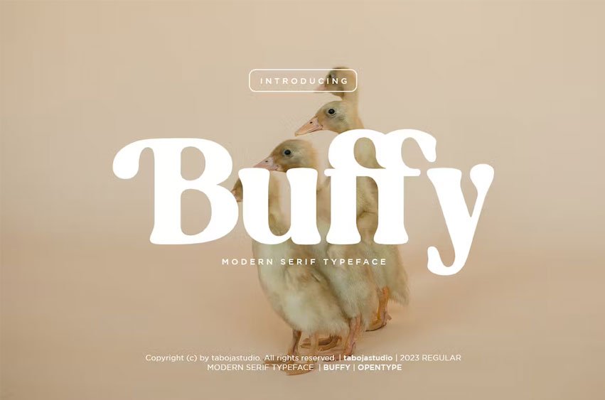 Buffy Font