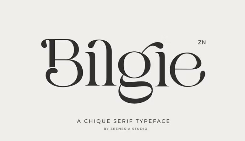 Bilgie Font