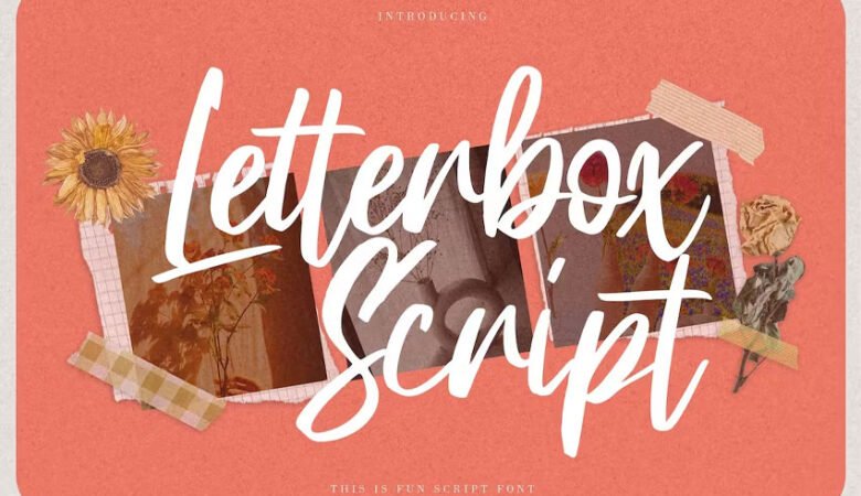 Letterbox Script Font