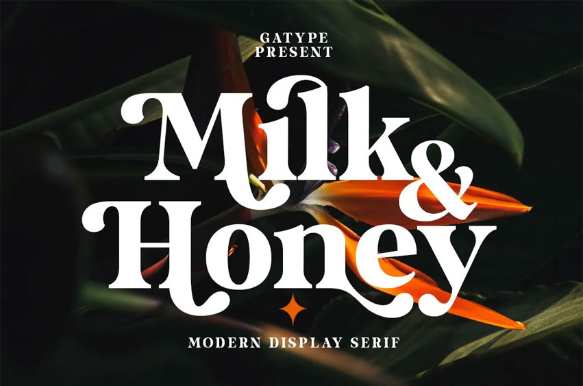 Milk & Honey Font