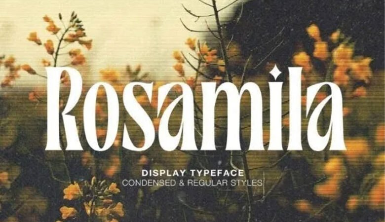 Rosamila Font