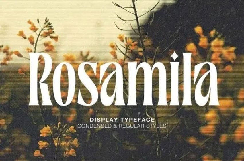 Rosamila Font