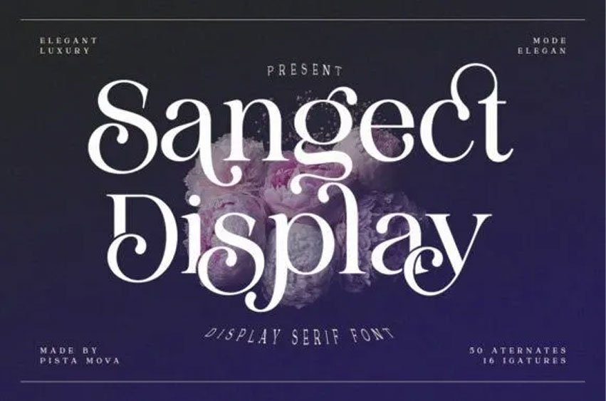 Sangect Display Font