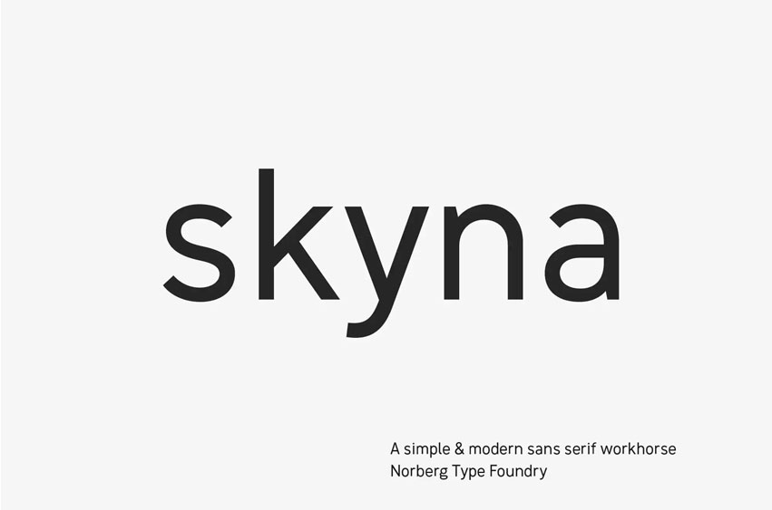 Skyna Font