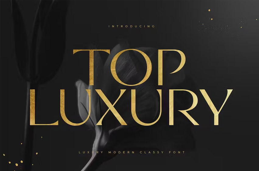 Top Luxury Font