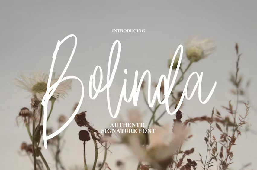 Bolinda Font
