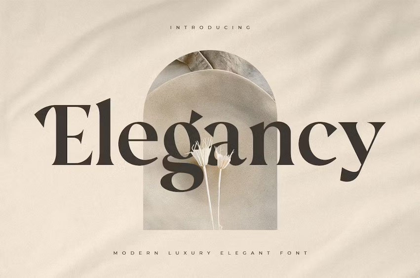 Elegancy Font