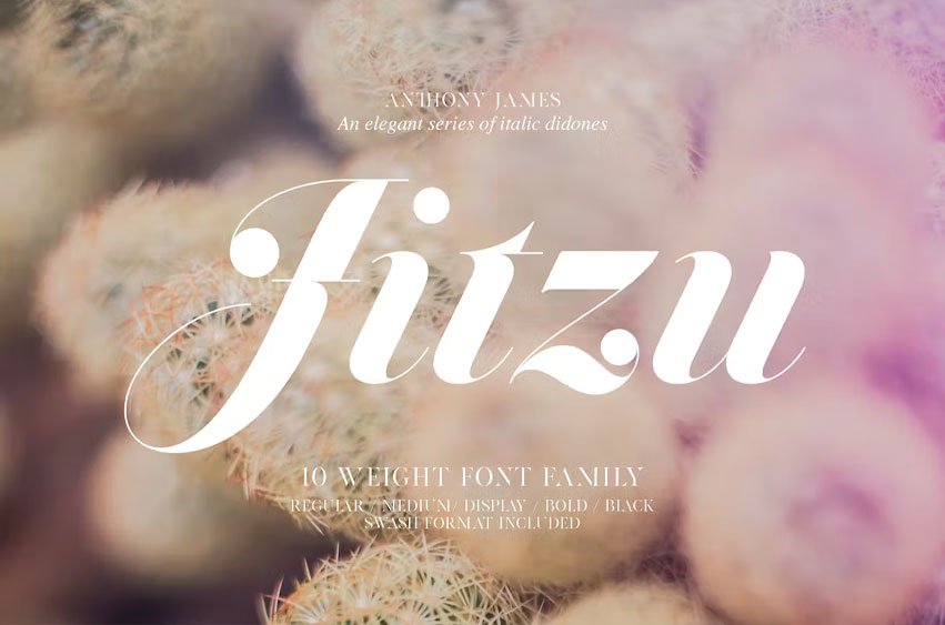 Jitzu Font
