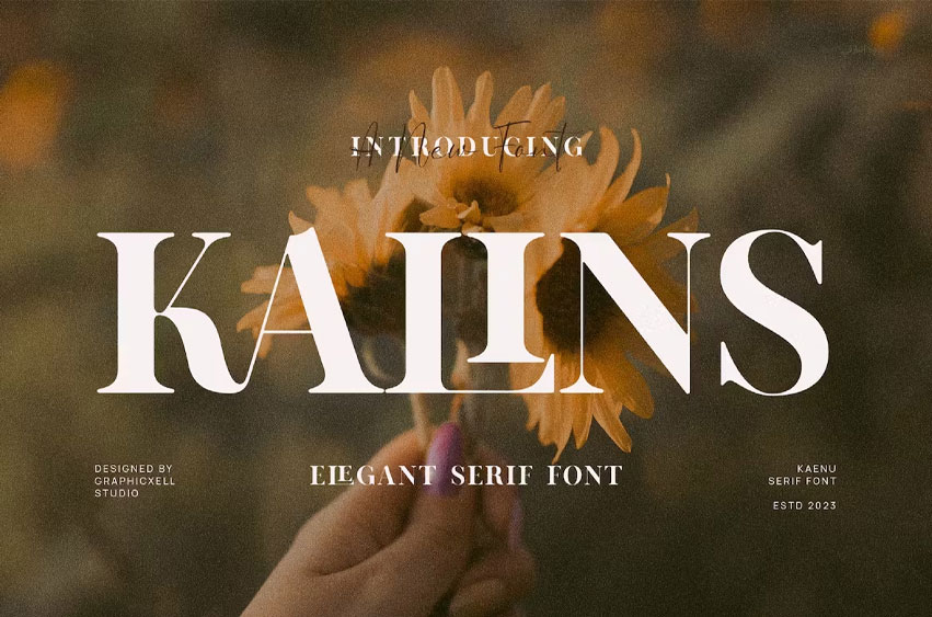 Kalins Font