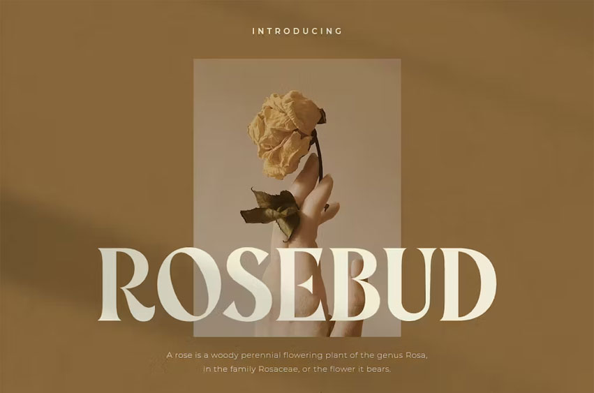 Rosebud Font