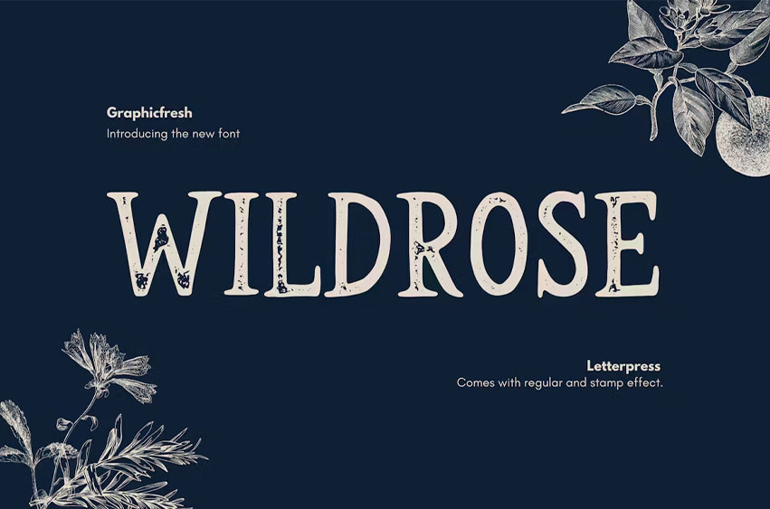Wildrose Font