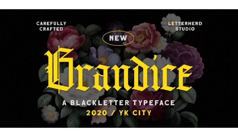 Brandice Font