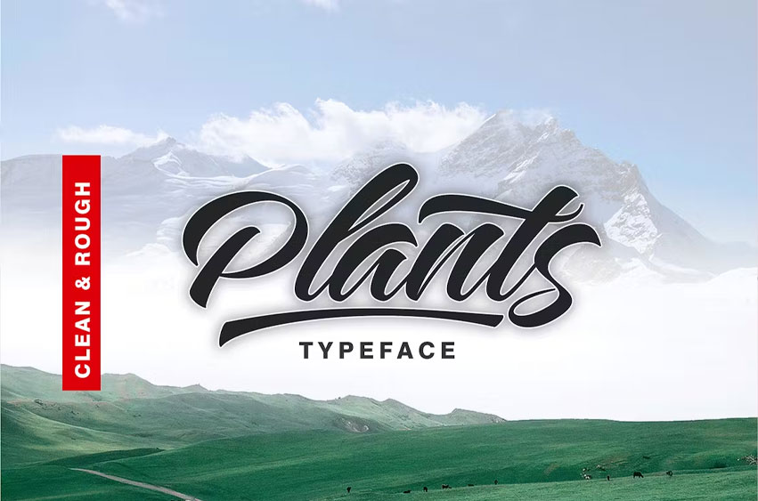 Plants Font