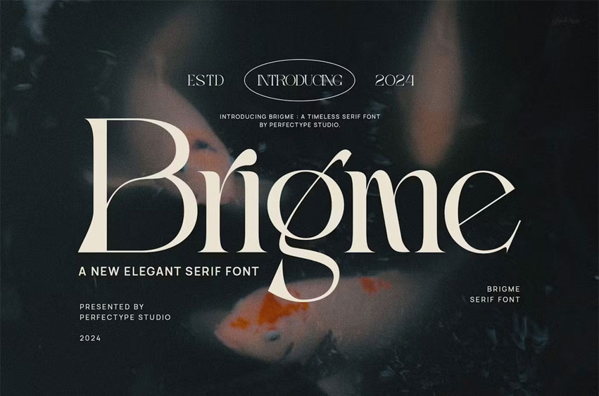 Brigme Font