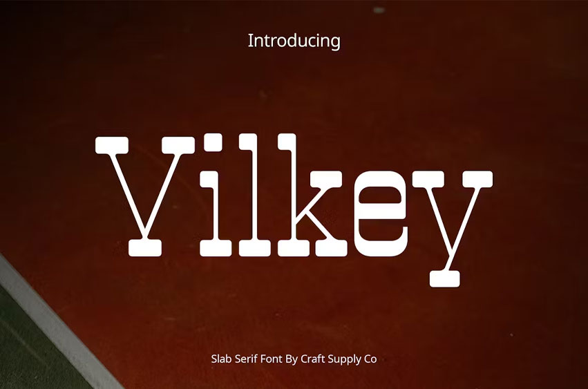 Vilkey Font