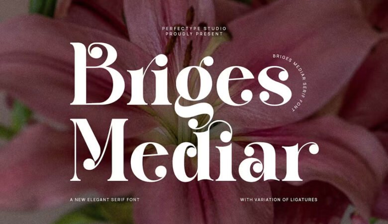 Briges Mediar Font