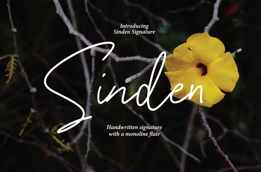 Sinden Font