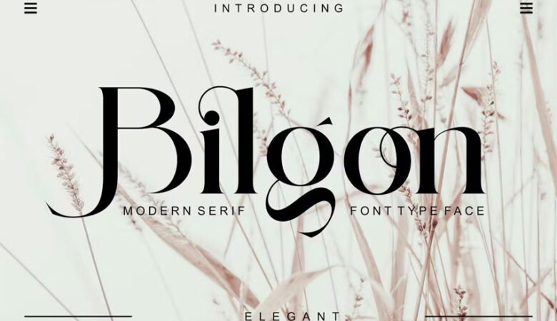Bilgon Font