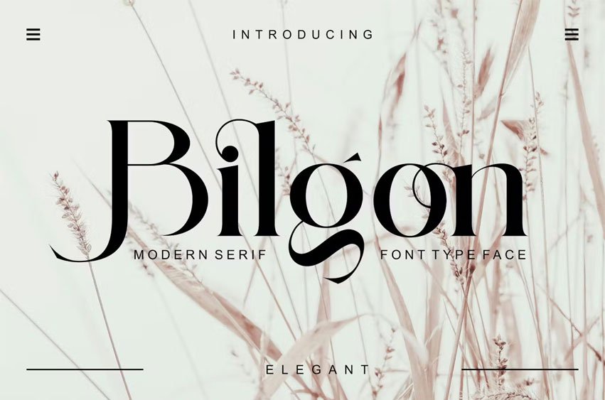 Bilgon Font