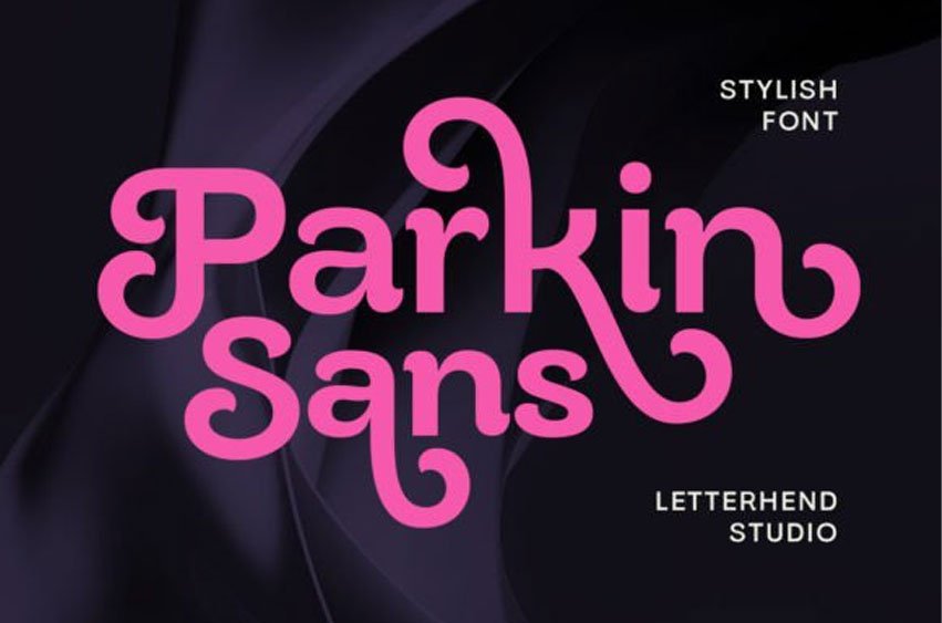 Parkin Sans Font