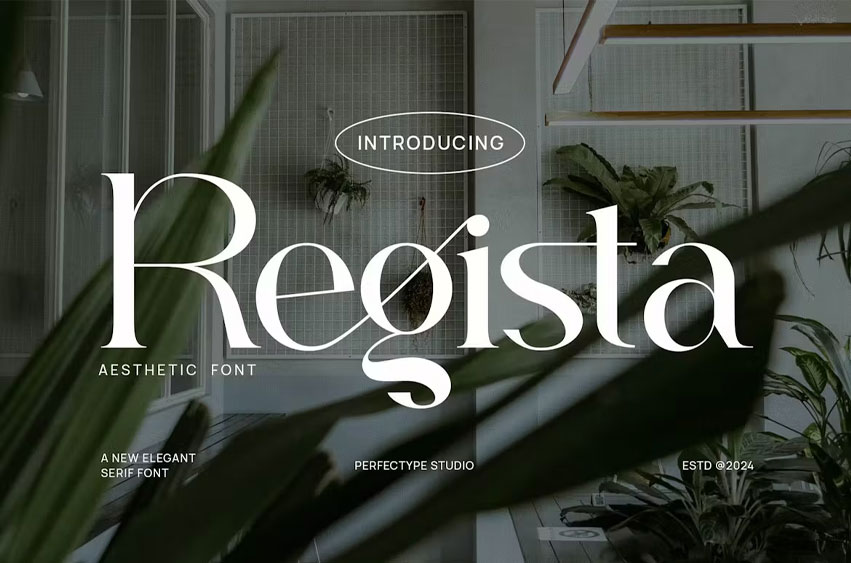 Regista Font