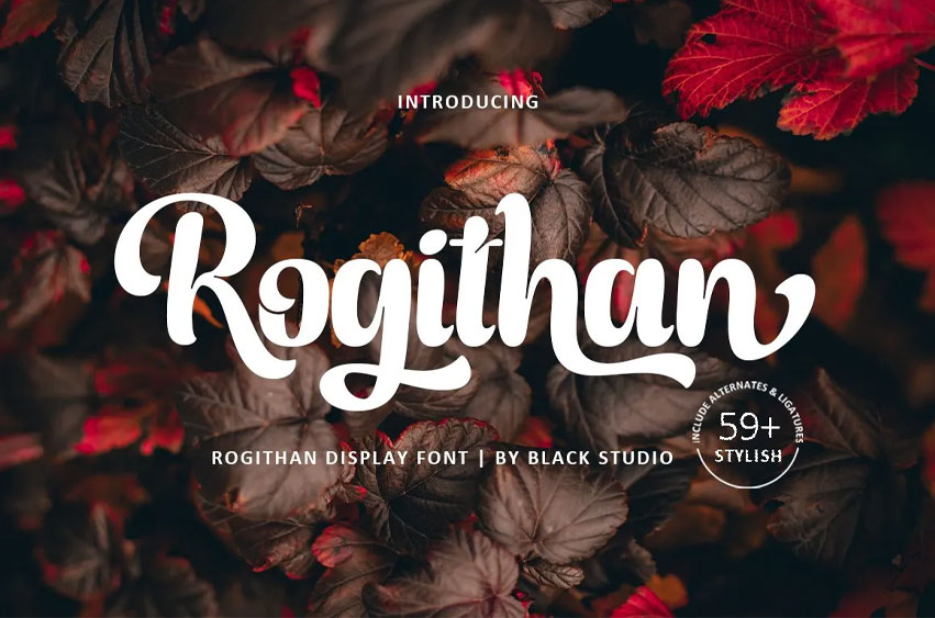 Rogithan Font