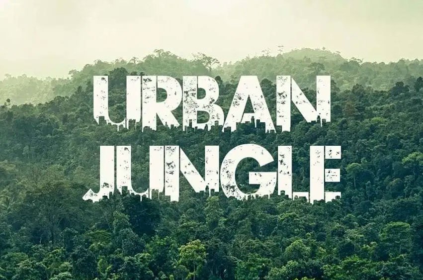 Urban Jungle Font