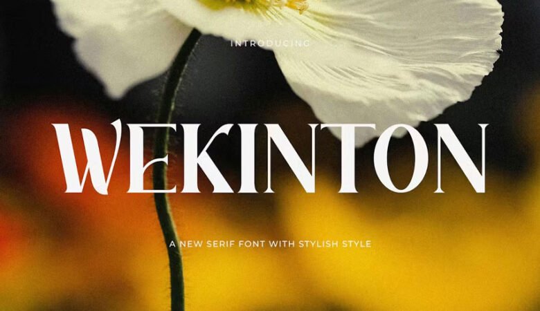Wekinton Font