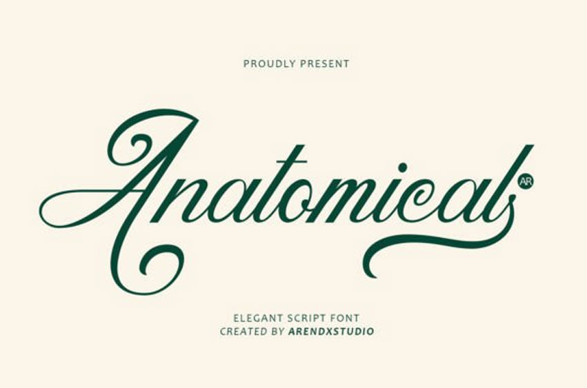 Anatomical Font