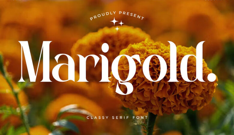 Marigold Font