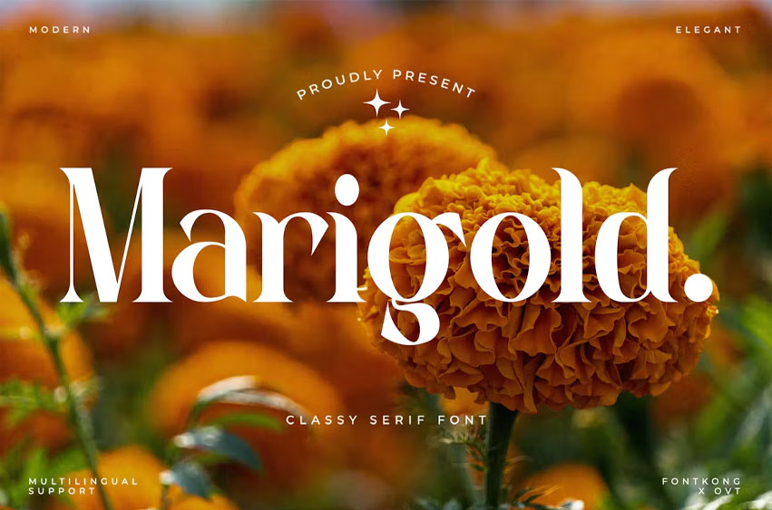 Marigold Font