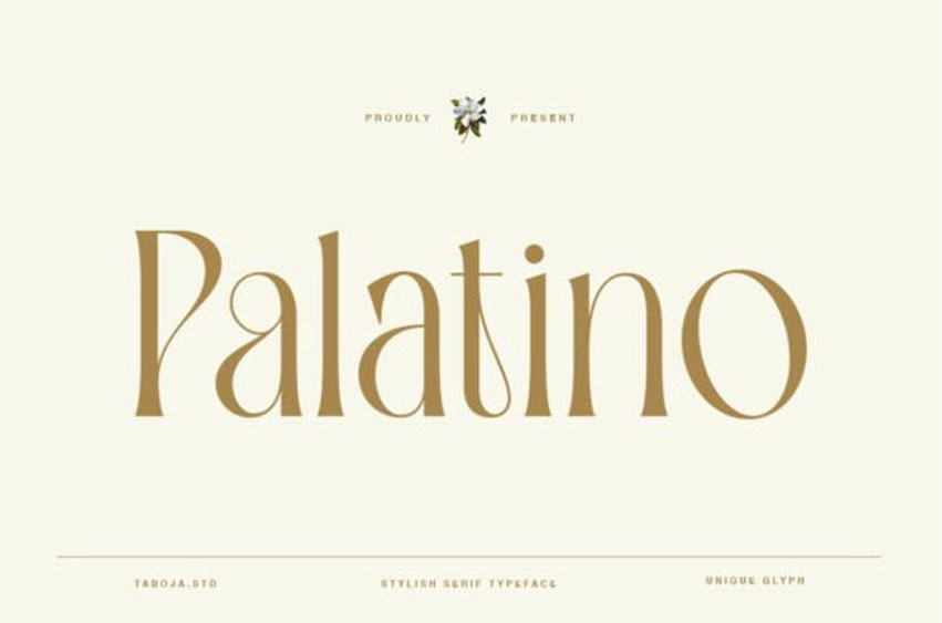 Palatino Font