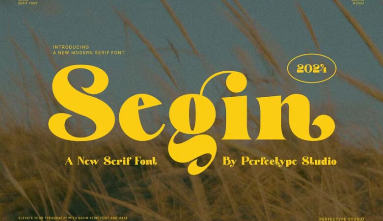 Segin Font
