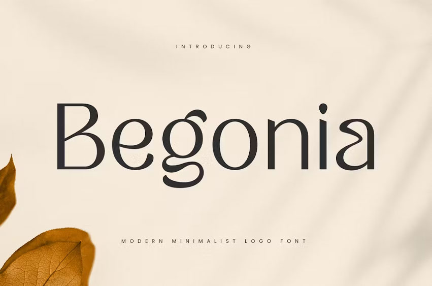 Begonia Font