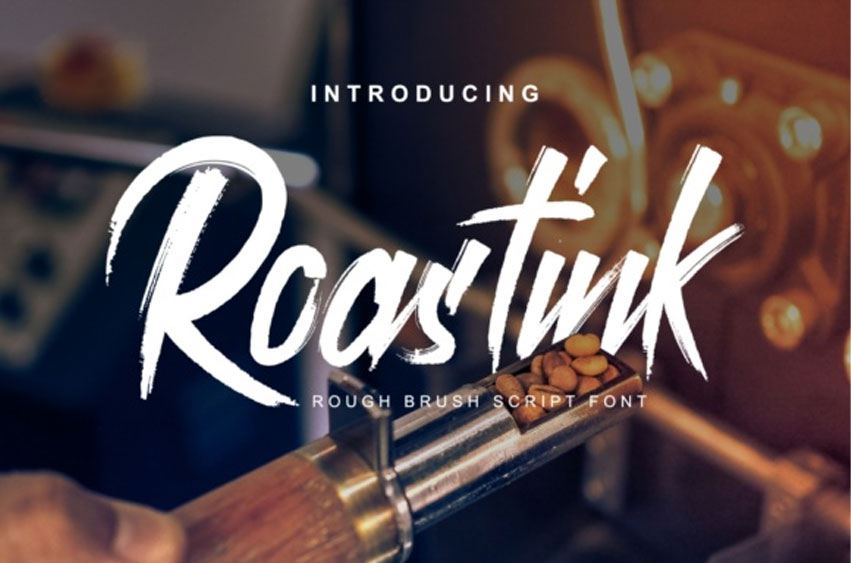 Roastink Script Font