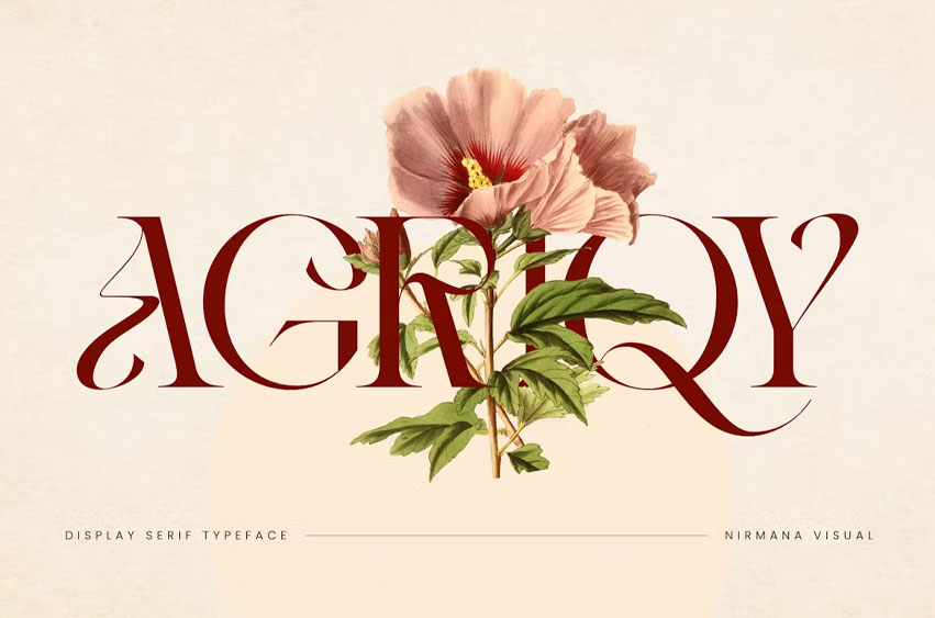 Vintage Agriqy Font