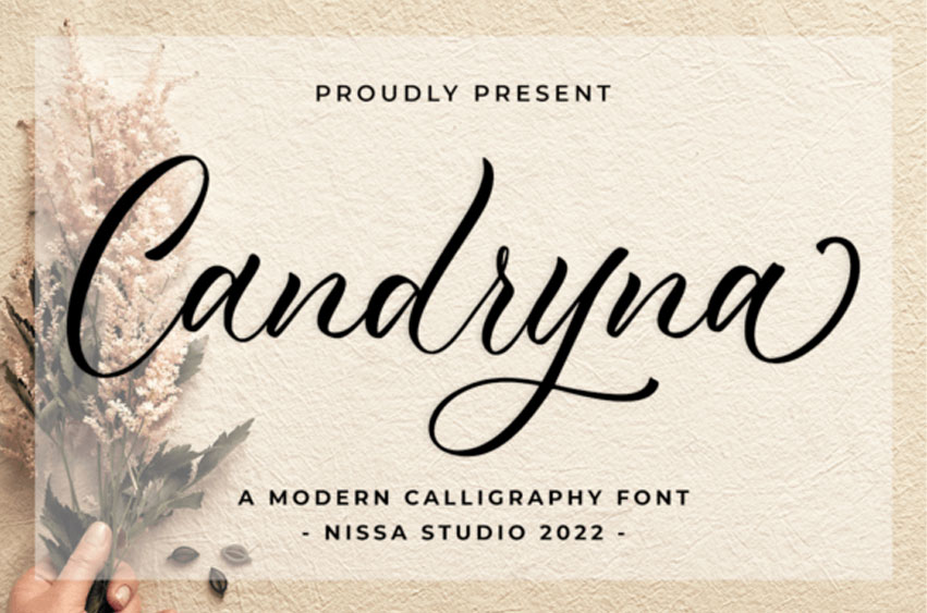 Candryna Font