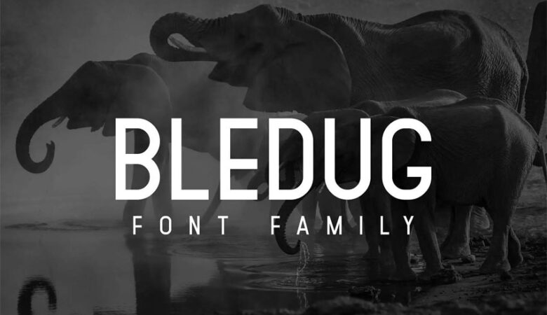 Bledug Font