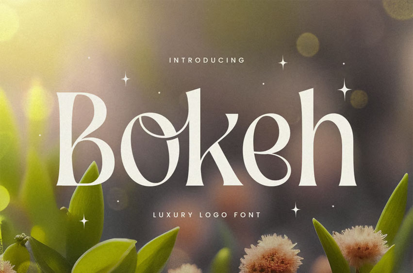 Bokeh Font