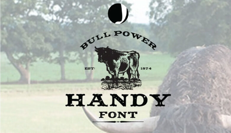 Handy Slab Font