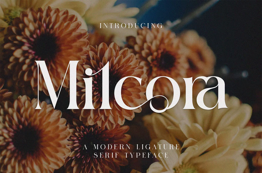 Milcora Font