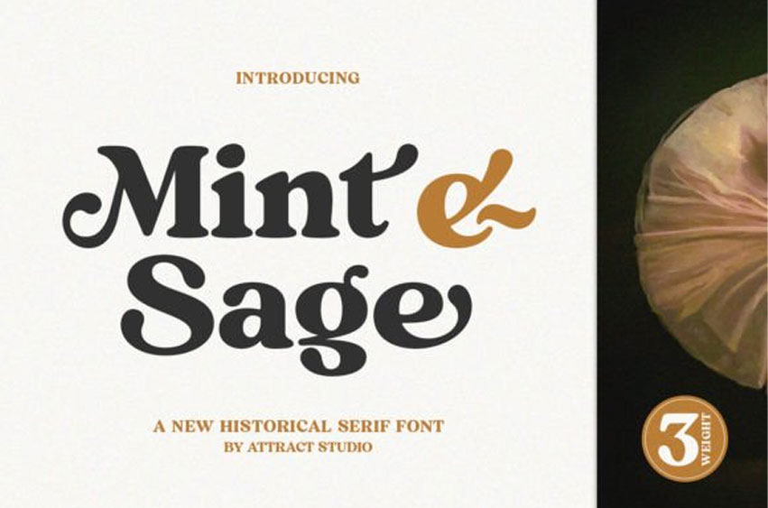 Mint and Sage Font