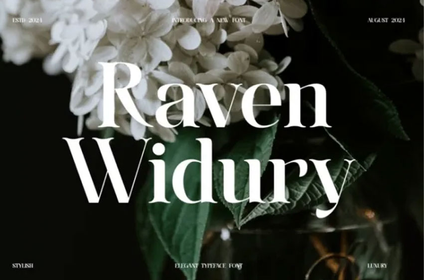 Raven Widury Font