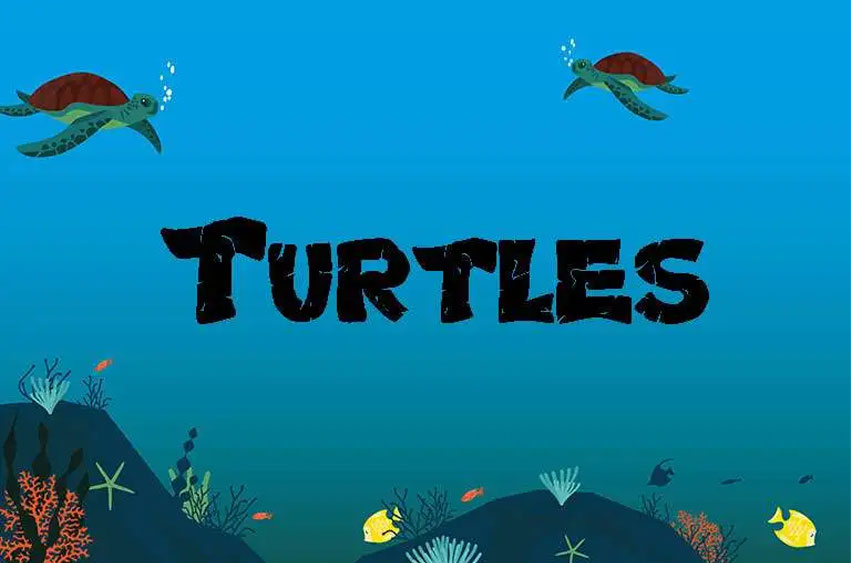 Turtles Font