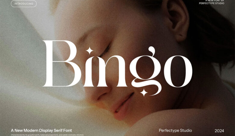 Bingo Serif Font