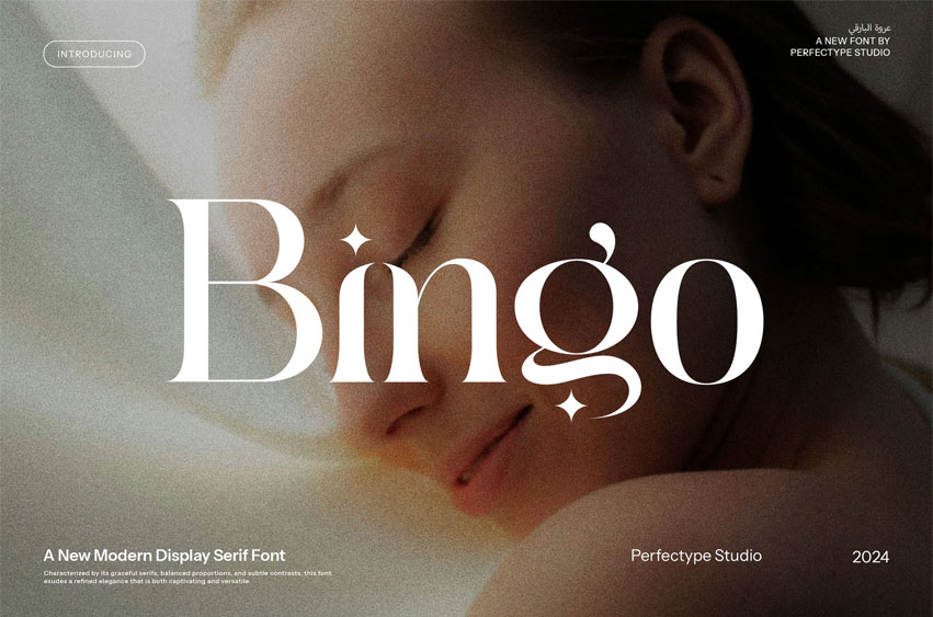 Bingo Serif Font