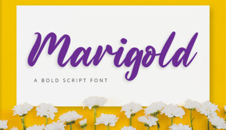 Marigold Bold Font