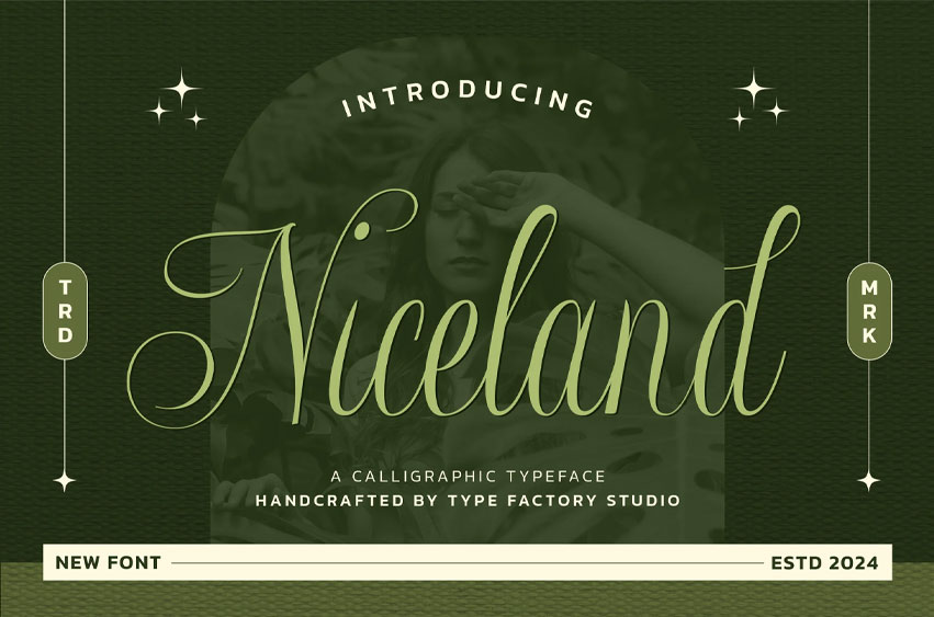 Niceland Font