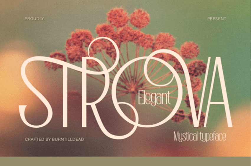 Strova Font