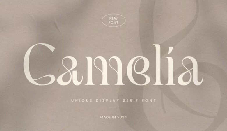 Camelia Serif Font